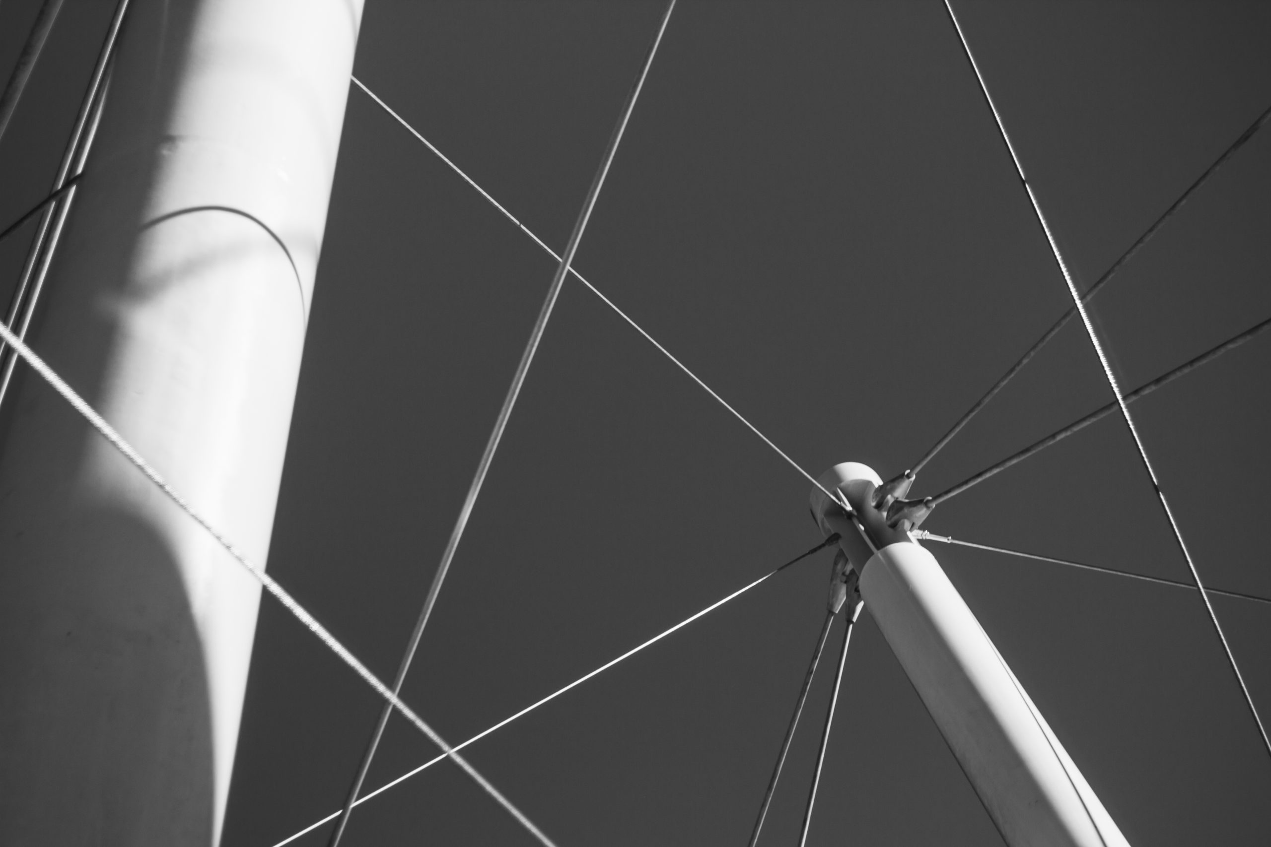 Read more about the article Introduction to Biotensegrity