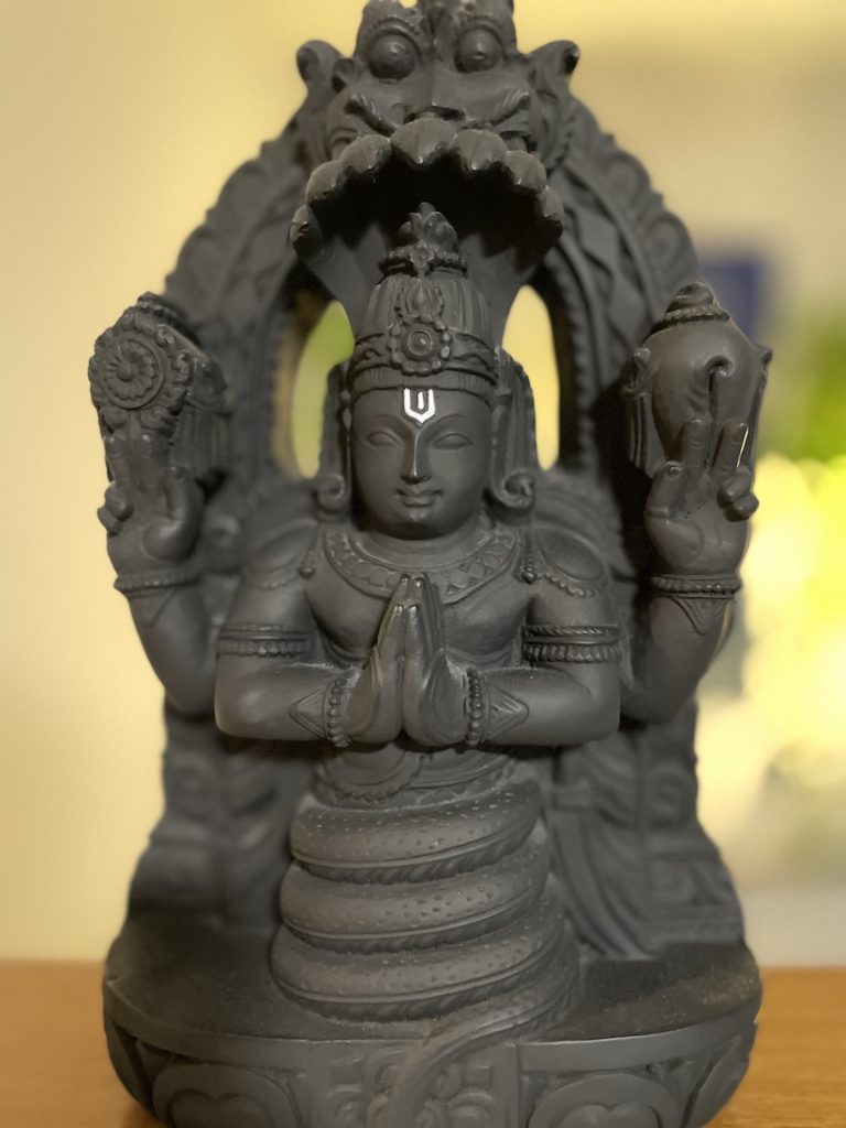 Patanjali statue in Samadhi